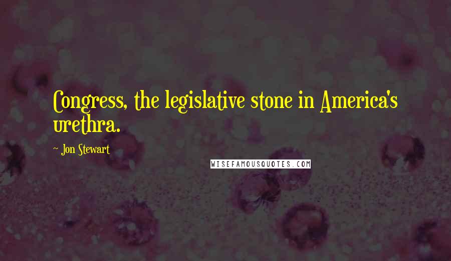 Jon Stewart Quotes: Congress, the legislative stone in America's urethra.