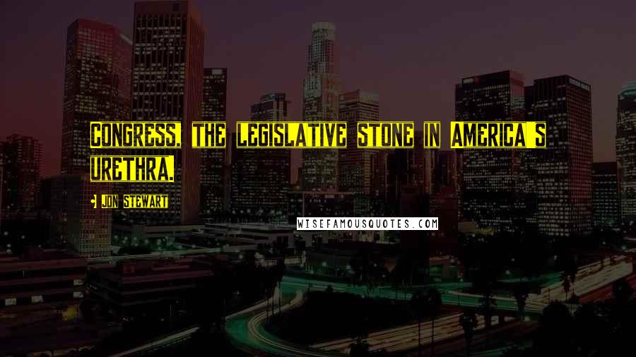 Jon Stewart Quotes: Congress, the legislative stone in America's urethra.
