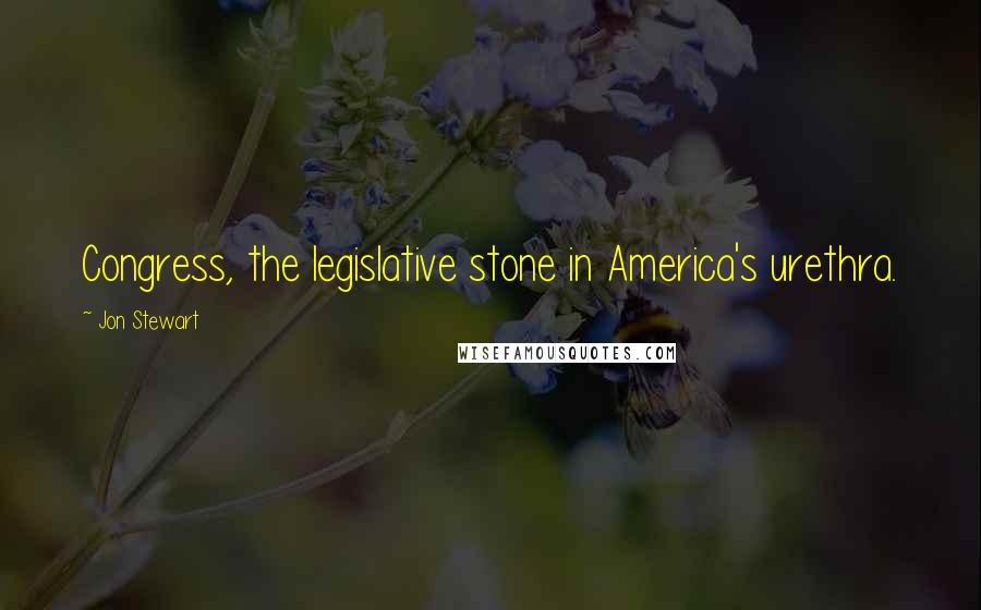 Jon Stewart Quotes: Congress, the legislative stone in America's urethra.