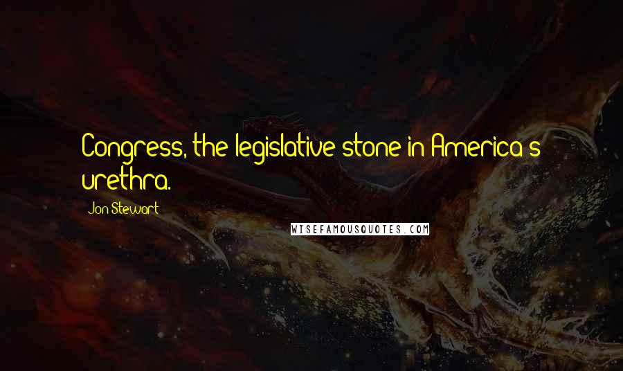 Jon Stewart Quotes: Congress, the legislative stone in America's urethra.