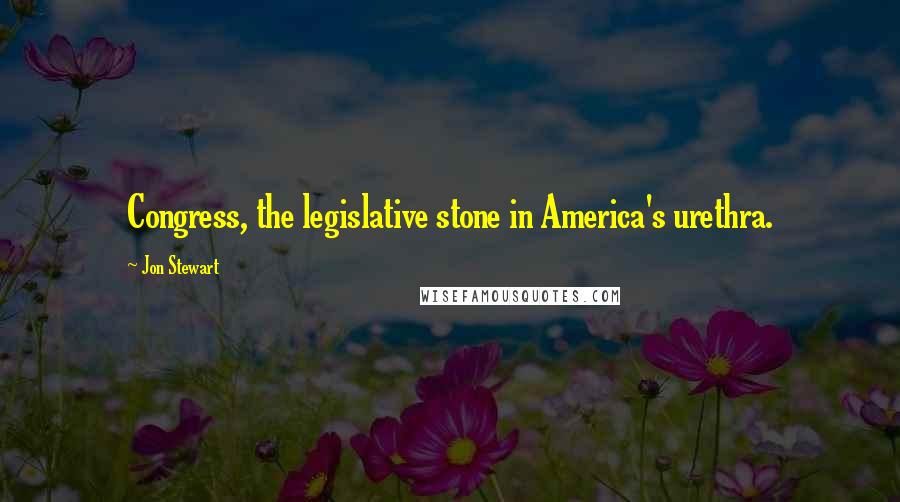 Jon Stewart Quotes: Congress, the legislative stone in America's urethra.