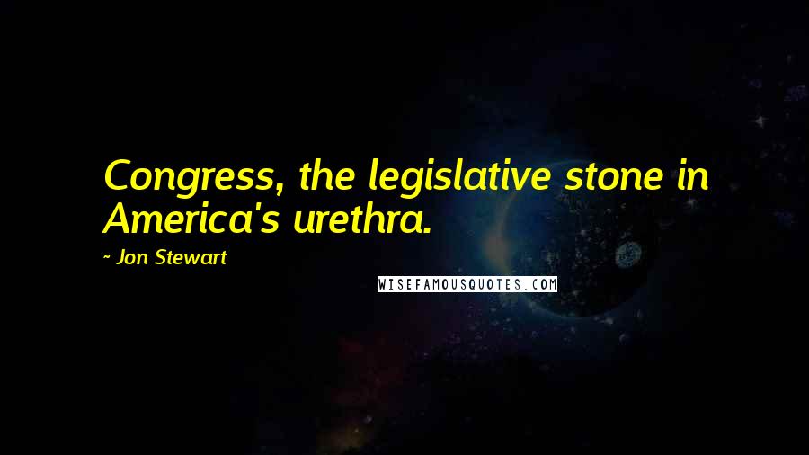 Jon Stewart Quotes: Congress, the legislative stone in America's urethra.