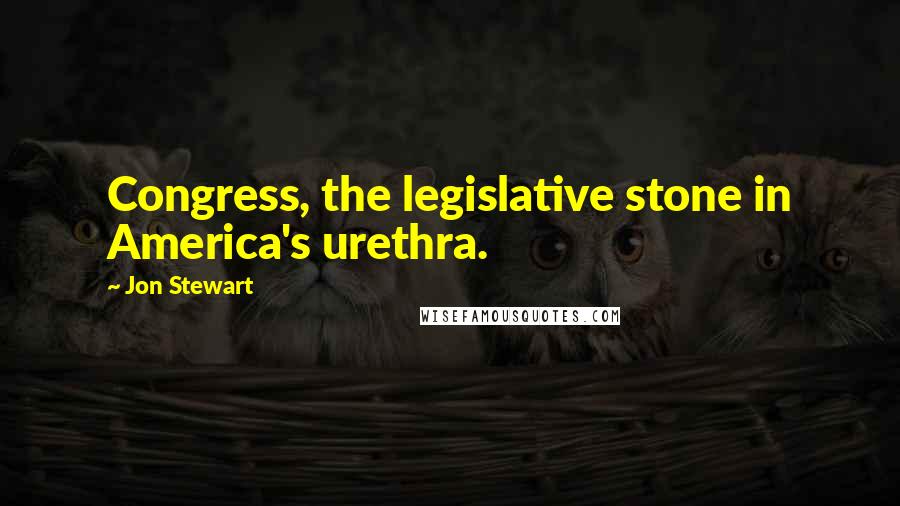 Jon Stewart Quotes: Congress, the legislative stone in America's urethra.