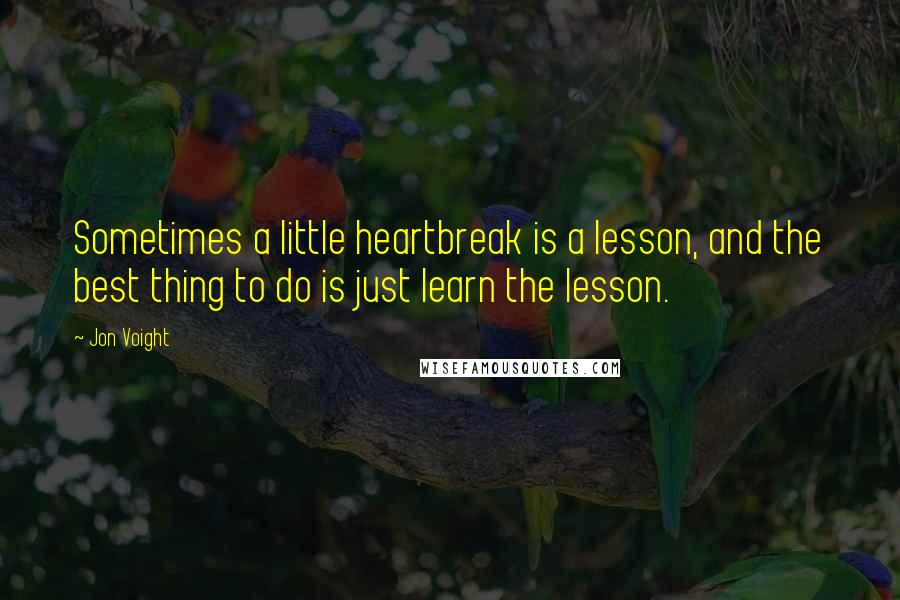 Jon Voight Quotes: Sometimes a little heartbreak is a lesson, and the best thing to do is just learn the lesson.