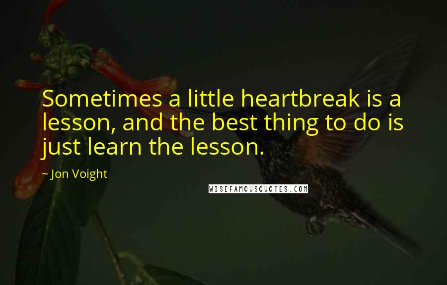 Jon Voight Quotes: Sometimes a little heartbreak is a lesson, and the best thing to do is just learn the lesson.