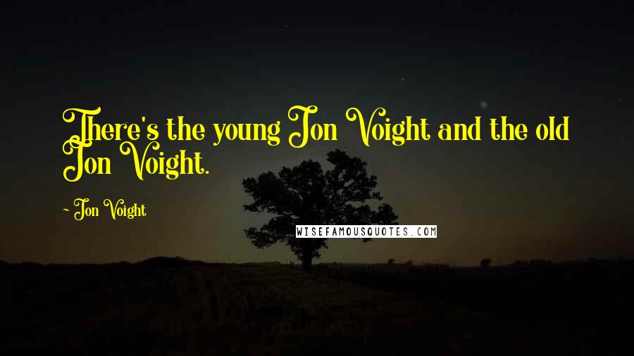 Jon Voight Quotes: There's the young Jon Voight and the old Jon Voight.