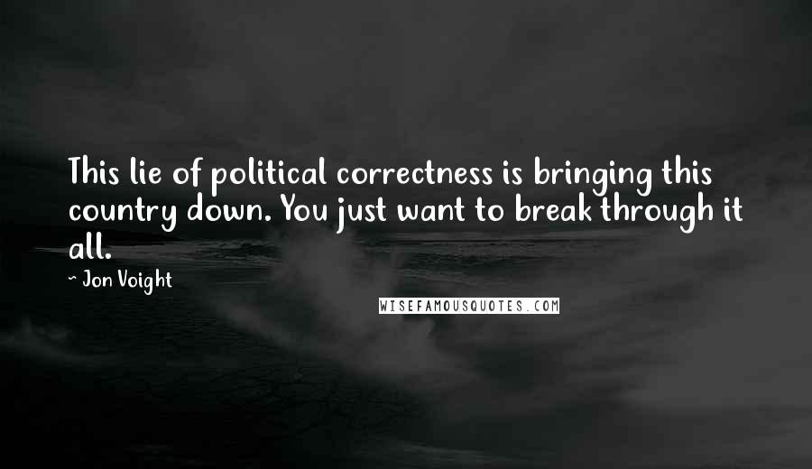 Jon Voight Quotes: This lie of political correctness is bringing this country down. You just want to break through it all.