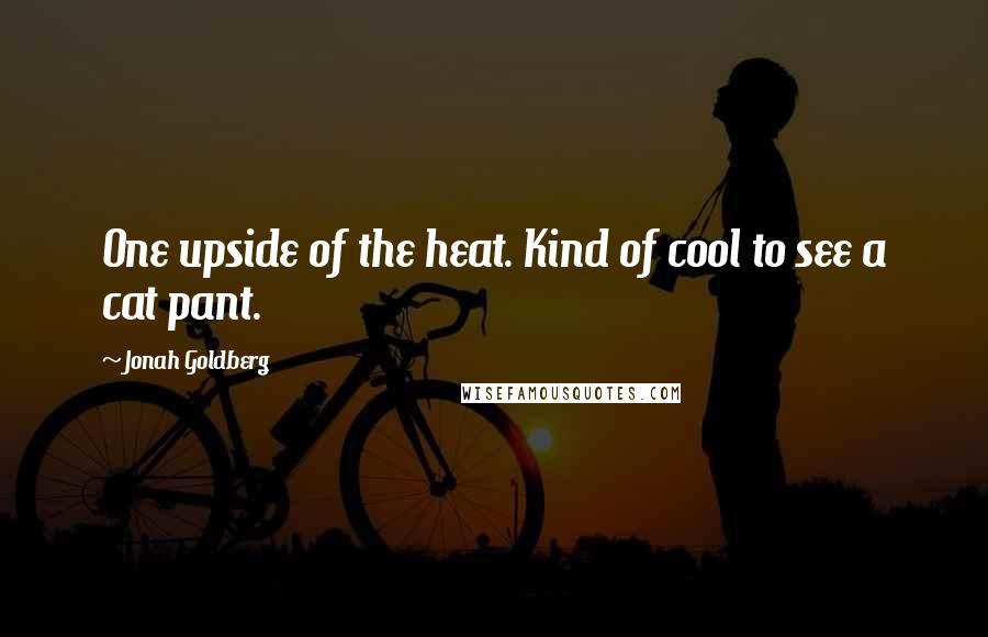 Jonah Goldberg Quotes: One upside of the heat. Kind of cool to see a cat pant.