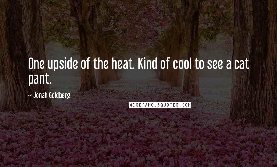 Jonah Goldberg Quotes: One upside of the heat. Kind of cool to see a cat pant.