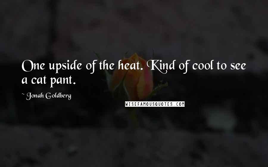 Jonah Goldberg Quotes: One upside of the heat. Kind of cool to see a cat pant.