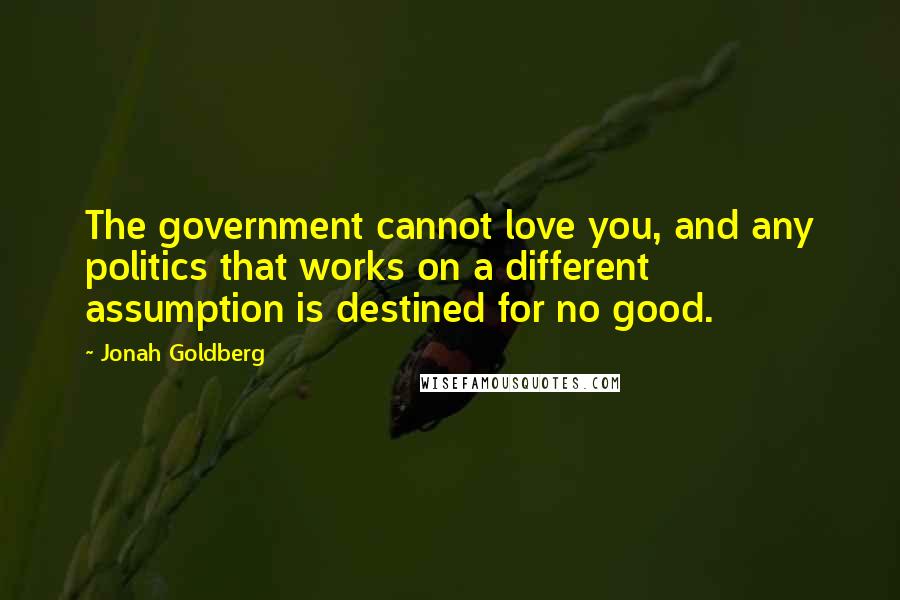 Jonah Goldberg Quotes: The government cannot love you, and any politics that works on a different assumption is destined for no good.