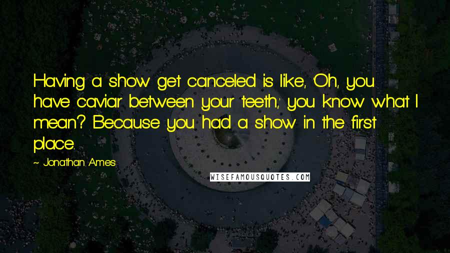 Jonathan Ames Quotes: Having a show get canceled is like, 'Oh, you have caviar between your teeth,' you know what I mean? Because you had a show in the first place.