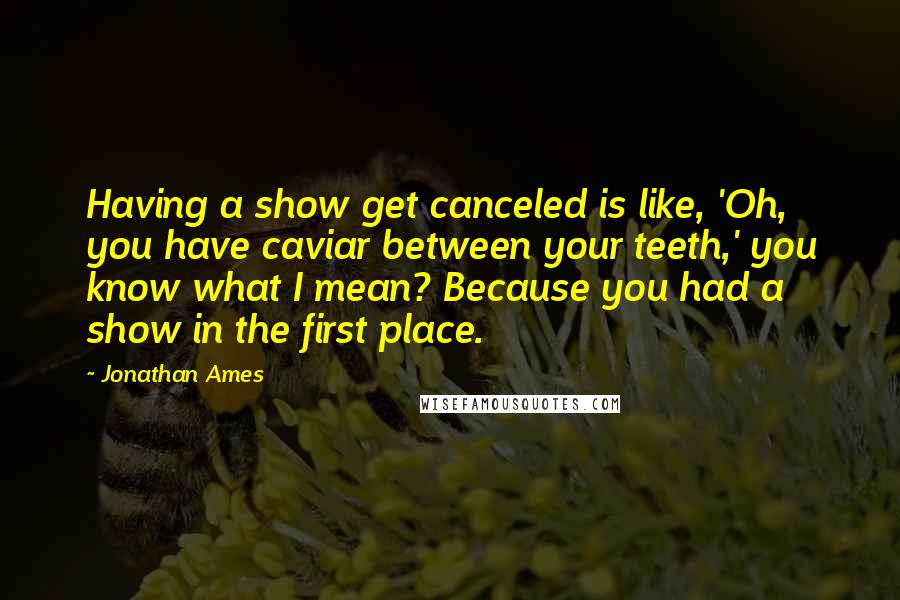 Jonathan Ames Quotes: Having a show get canceled is like, 'Oh, you have caviar between your teeth,' you know what I mean? Because you had a show in the first place.