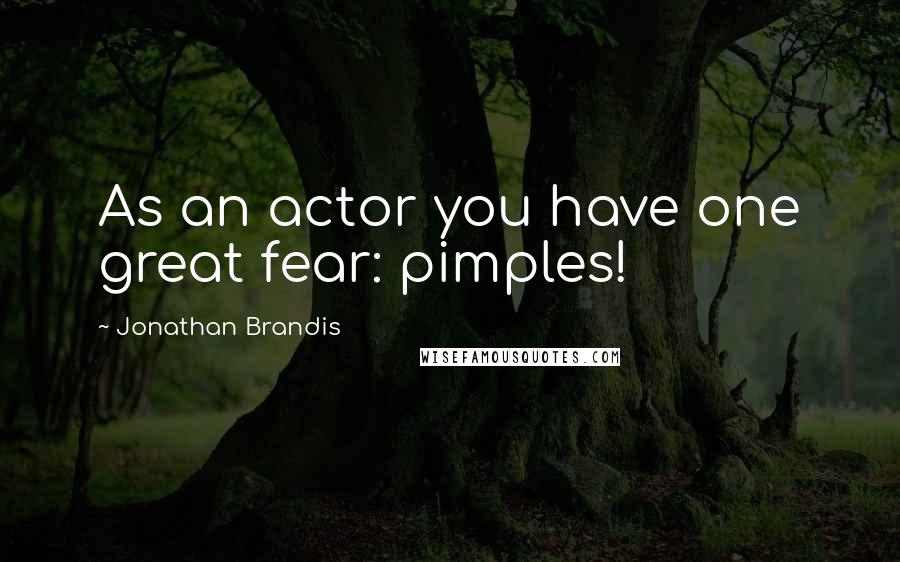 Jonathan Brandis Quotes: As an actor you have one great fear: pimples!