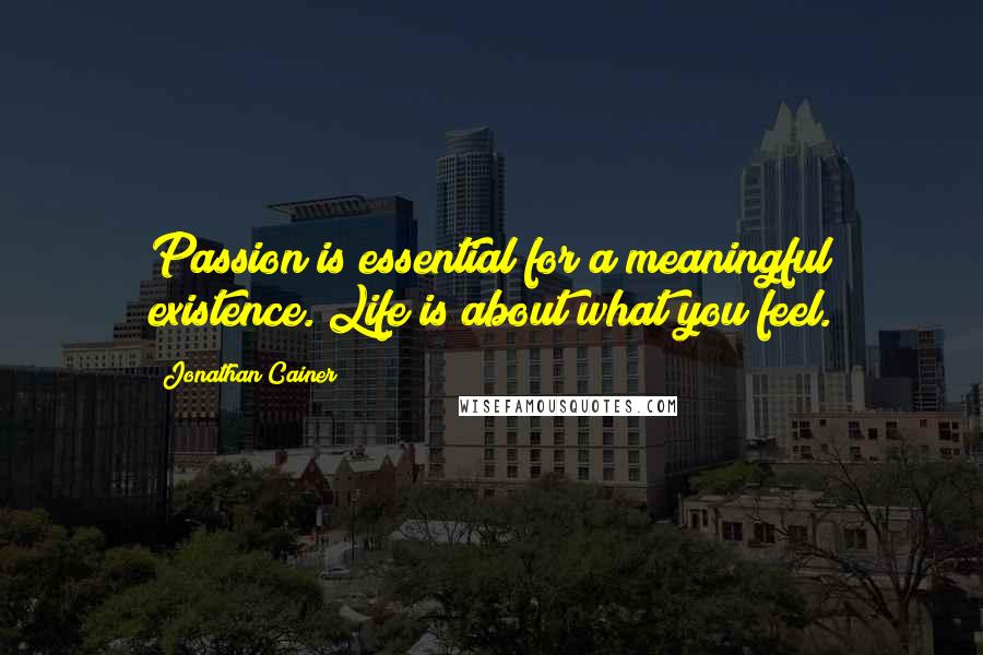 Jonathan Cainer Quotes: Passion is essential for a meaningful existence. Life is about what you feel.