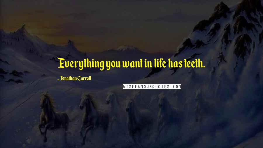 Jonathan Carroll Quotes: Everything you want in life has teeth.