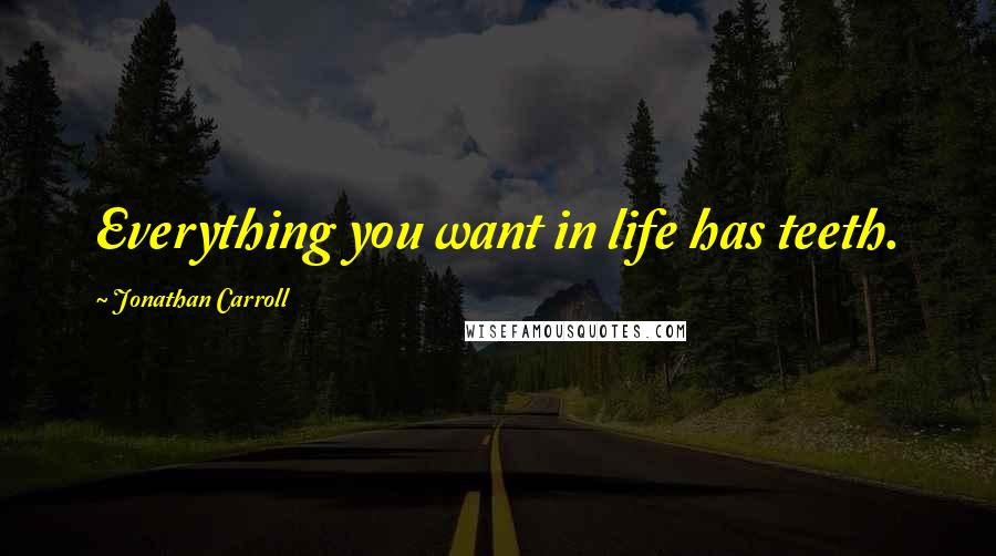 Jonathan Carroll Quotes: Everything you want in life has teeth.