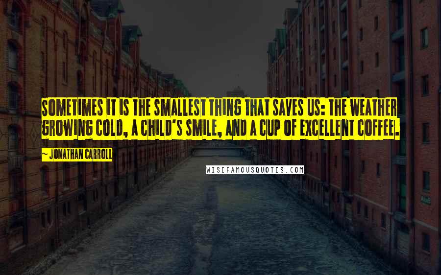 Jonathan Carroll Quotes: Sometimes it is the smallest thing that saves us: the weather growing cold, a child's smile, and a cup of excellent coffee.