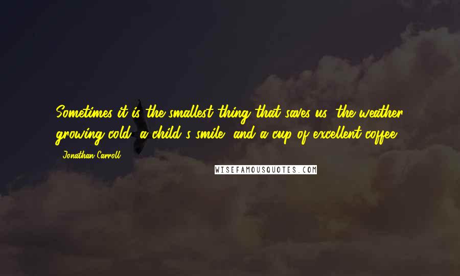 Jonathan Carroll Quotes: Sometimes it is the smallest thing that saves us: the weather growing cold, a child's smile, and a cup of excellent coffee.