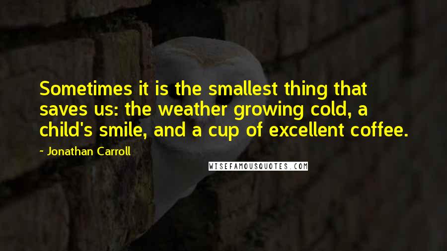 Jonathan Carroll Quotes: Sometimes it is the smallest thing that saves us: the weather growing cold, a child's smile, and a cup of excellent coffee.