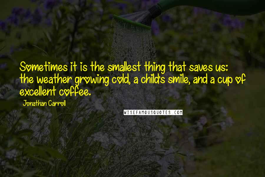 Jonathan Carroll Quotes: Sometimes it is the smallest thing that saves us: the weather growing cold, a child's smile, and a cup of excellent coffee.