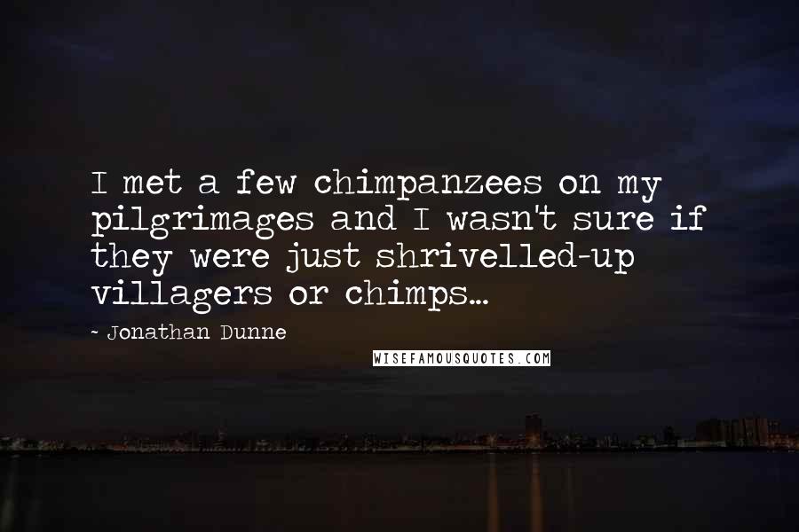 Jonathan Dunne Quotes: I met a few chimpanzees on my pilgrimages and I wasn't sure if they were just shrivelled-up villagers or chimps...