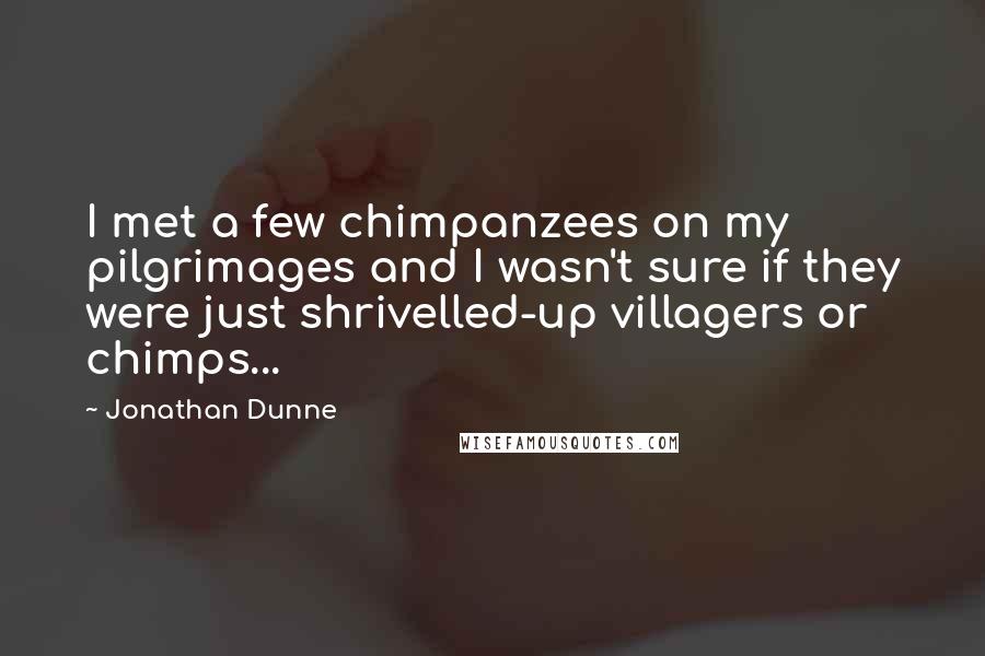 Jonathan Dunne Quotes: I met a few chimpanzees on my pilgrimages and I wasn't sure if they were just shrivelled-up villagers or chimps...