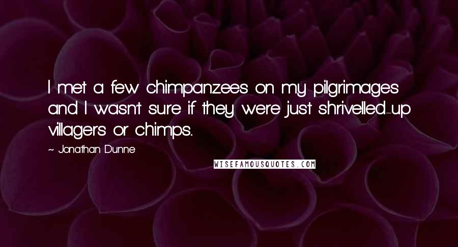 Jonathan Dunne Quotes: I met a few chimpanzees on my pilgrimages and I wasn't sure if they were just shrivelled-up villagers or chimps...