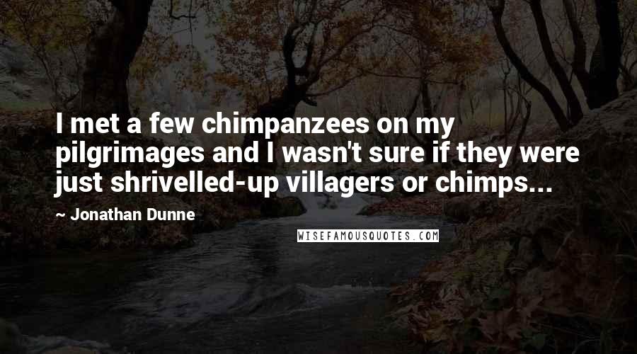 Jonathan Dunne Quotes: I met a few chimpanzees on my pilgrimages and I wasn't sure if they were just shrivelled-up villagers or chimps...