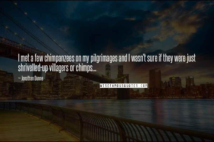 Jonathan Dunne Quotes: I met a few chimpanzees on my pilgrimages and I wasn't sure if they were just shrivelled-up villagers or chimps...