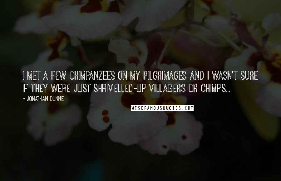 Jonathan Dunne Quotes: I met a few chimpanzees on my pilgrimages and I wasn't sure if they were just shrivelled-up villagers or chimps...