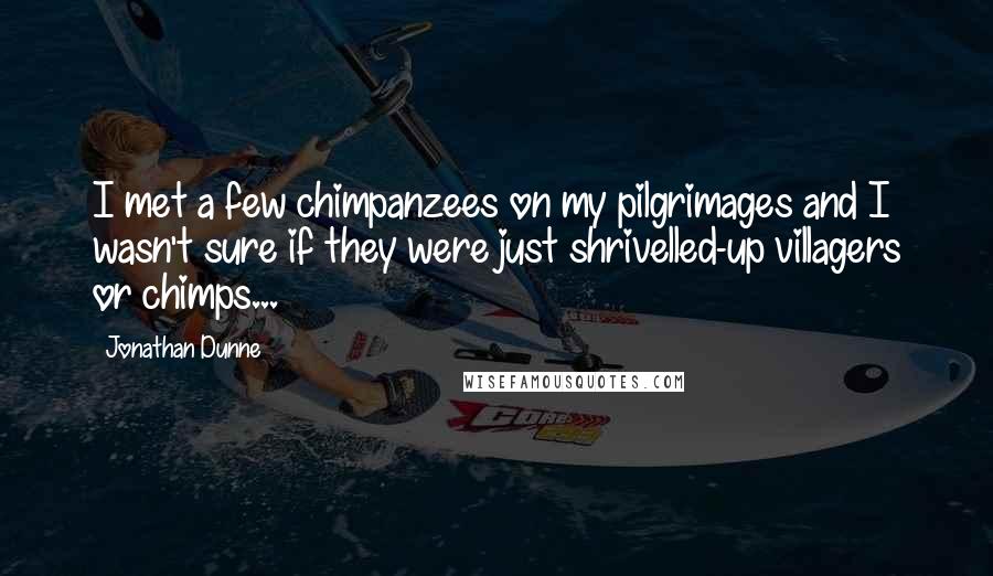 Jonathan Dunne Quotes: I met a few chimpanzees on my pilgrimages and I wasn't sure if they were just shrivelled-up villagers or chimps...