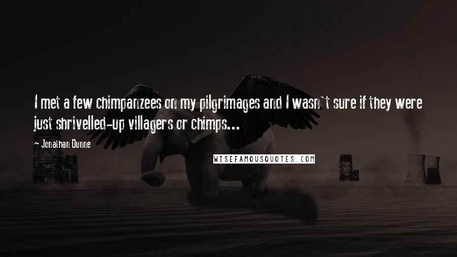 Jonathan Dunne Quotes: I met a few chimpanzees on my pilgrimages and I wasn't sure if they were just shrivelled-up villagers or chimps...