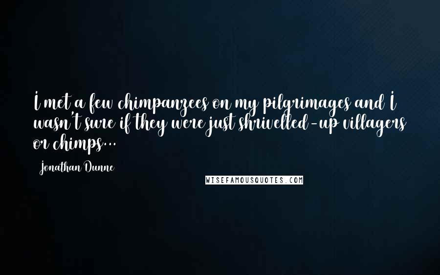 Jonathan Dunne Quotes: I met a few chimpanzees on my pilgrimages and I wasn't sure if they were just shrivelled-up villagers or chimps...