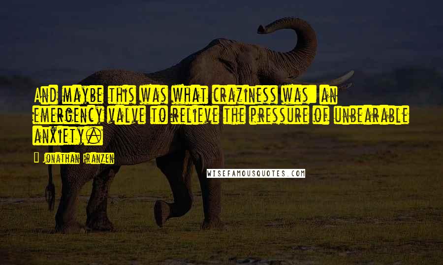Jonathan Franzen Quotes: And maybe this was what craziness was: an emergency valve to relieve the pressure of unbearable anxiety.