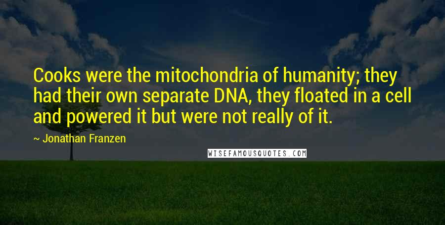 Jonathan Franzen Quotes: Cooks were the mitochondria of humanity; they had their own separate DNA, they floated in a cell and powered it but were not really of it.