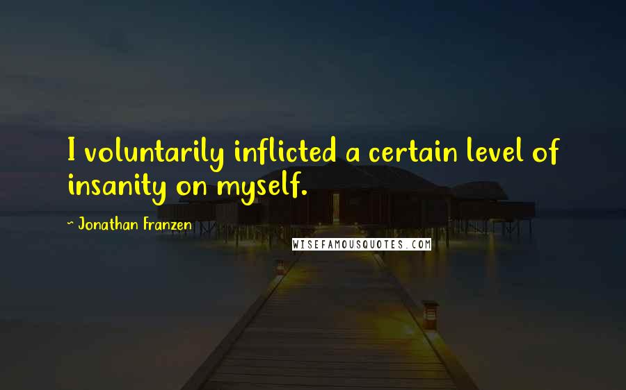 Jonathan Franzen Quotes: I voluntarily inflicted a certain level of insanity on myself.