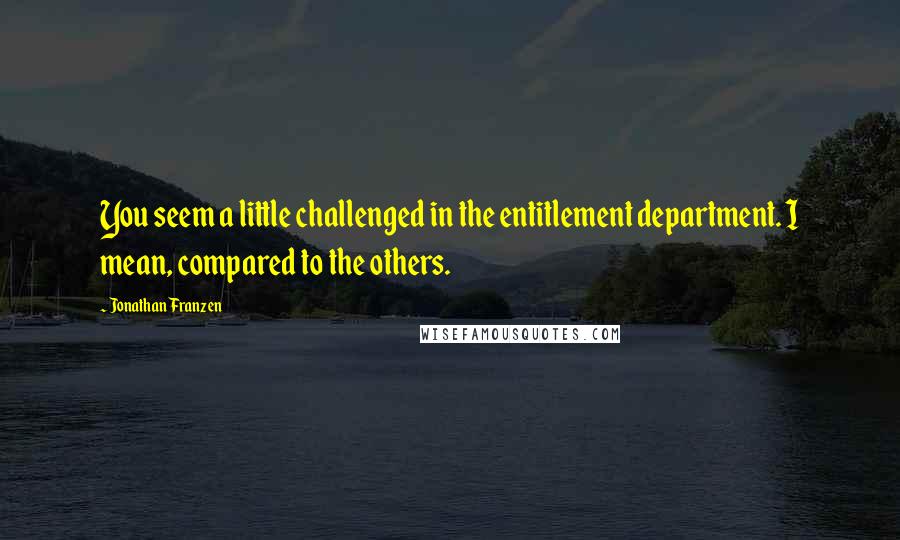 Jonathan Franzen Quotes: You seem a little challenged in the entitlement department. I mean, compared to the others.