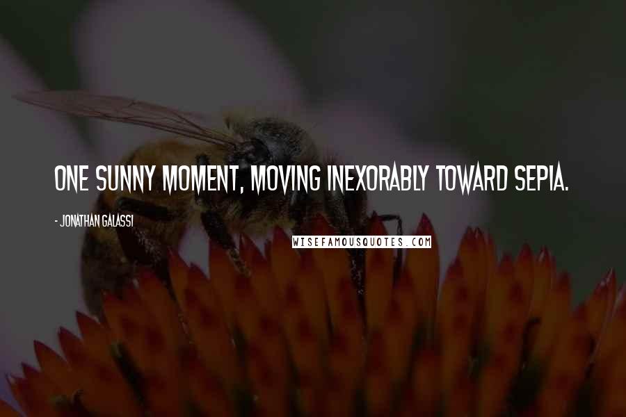 Jonathan Galassi Quotes: One sunny moment, moving inexorably toward sepia.