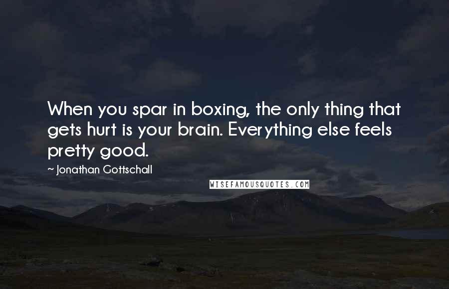 Jonathan Gottschall Quotes: When you spar in boxing, the only thing that gets hurt is your brain. Everything else feels pretty good.