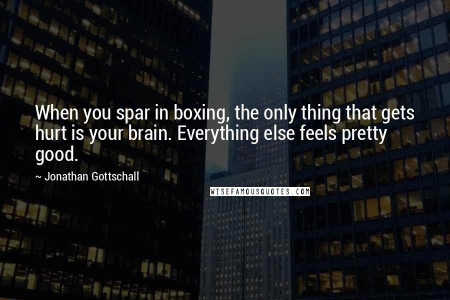 Jonathan Gottschall Quotes: When you spar in boxing, the only thing that gets hurt is your brain. Everything else feels pretty good.