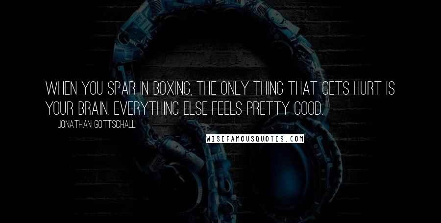 Jonathan Gottschall Quotes: When you spar in boxing, the only thing that gets hurt is your brain. Everything else feels pretty good.