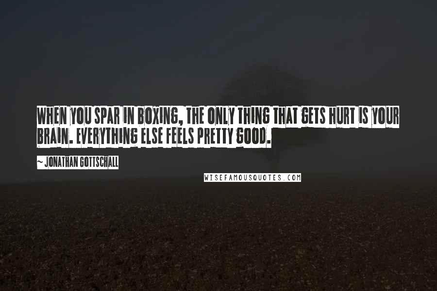 Jonathan Gottschall Quotes: When you spar in boxing, the only thing that gets hurt is your brain. Everything else feels pretty good.