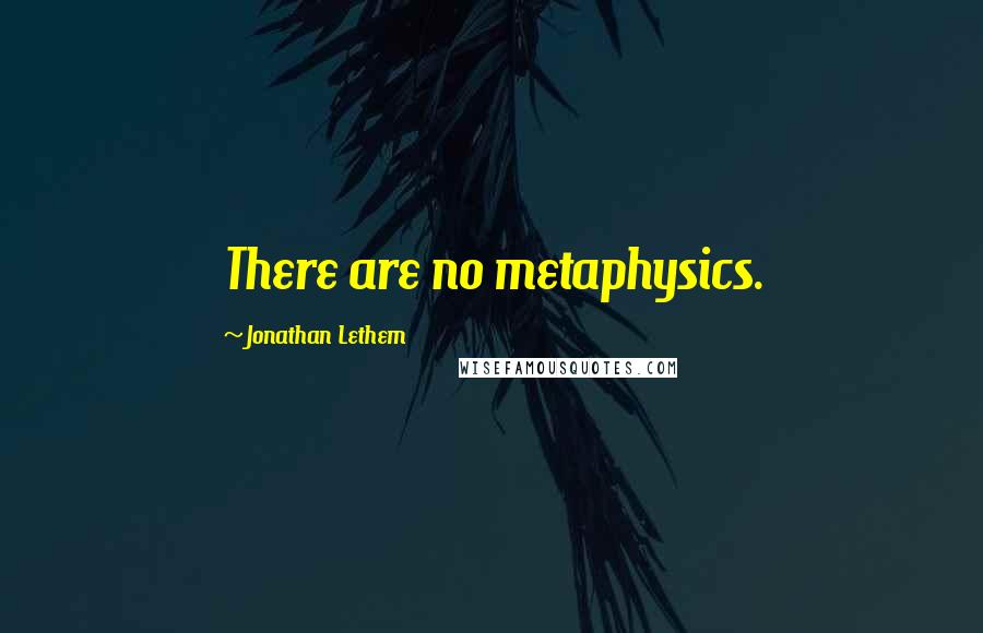 Jonathan Lethem Quotes: There are no metaphysics.