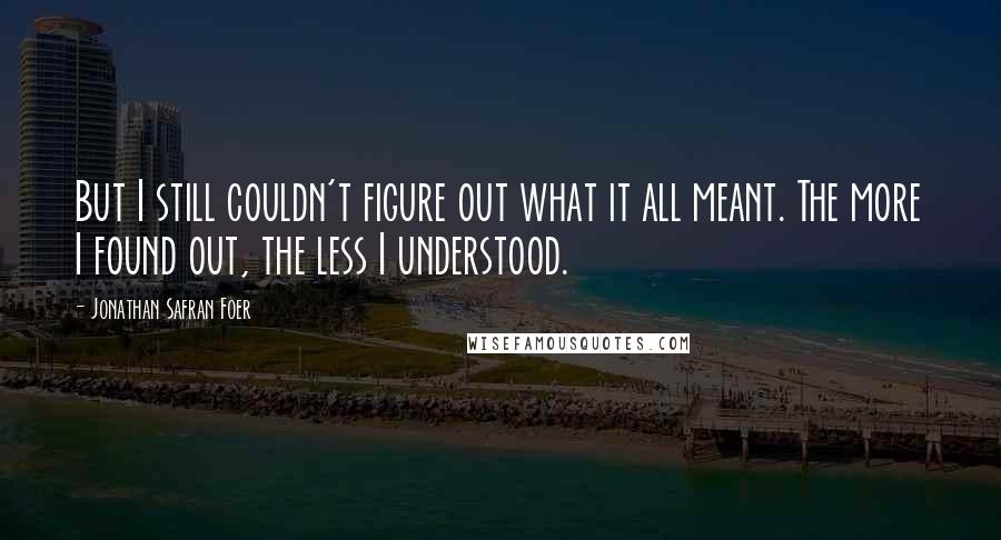 Jonathan Safran Foer Quotes: But I still couldn't figure out what it all meant. The more I found out, the less I understood.