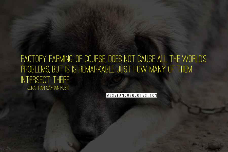 Jonathan Safran Foer Quotes: Factory farming, of course, does not cause all the world's problems, but is is remarkable just how many of them intersect there.