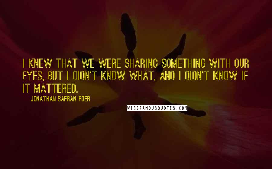 Jonathan Safran Foer Quotes: I knew that we were sharing something with our eyes, but I didn't know what, and I didn't know if it mattered.