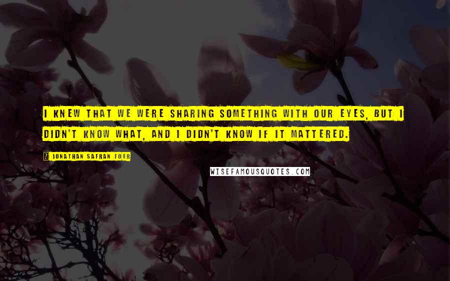 Jonathan Safran Foer Quotes: I knew that we were sharing something with our eyes, but I didn't know what, and I didn't know if it mattered.