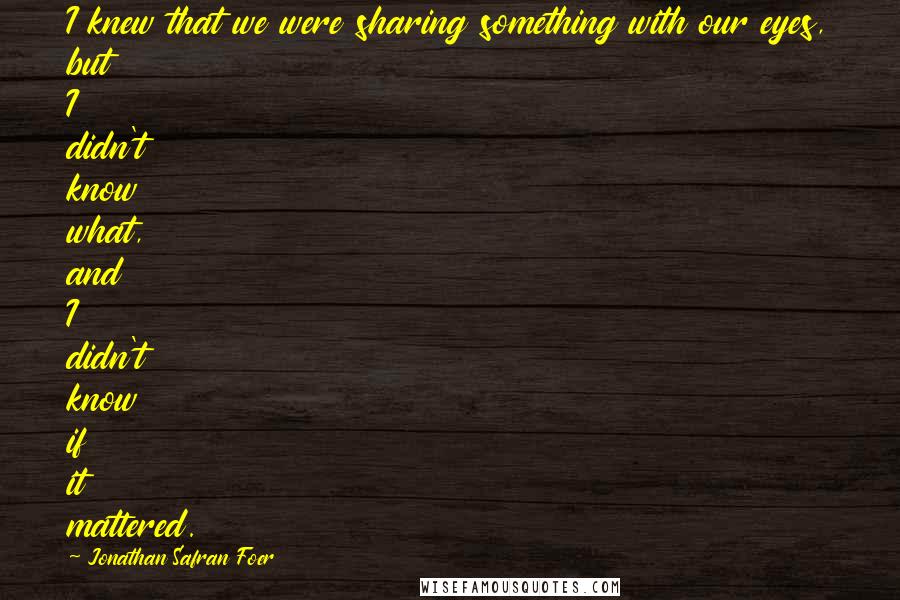 Jonathan Safran Foer Quotes: I knew that we were sharing something with our eyes, but I didn't know what, and I didn't know if it mattered.