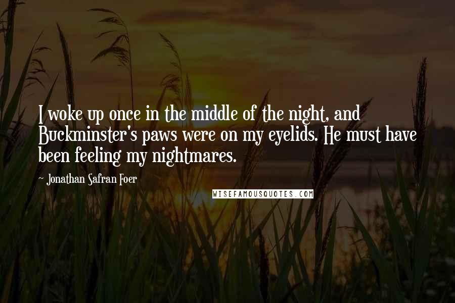 Jonathan Safran Foer Quotes: I woke up once in the middle of the night, and Buckminster's paws were on my eyelids. He must have been feeling my nightmares.